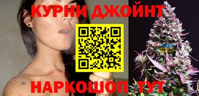 скорость Новозыбков